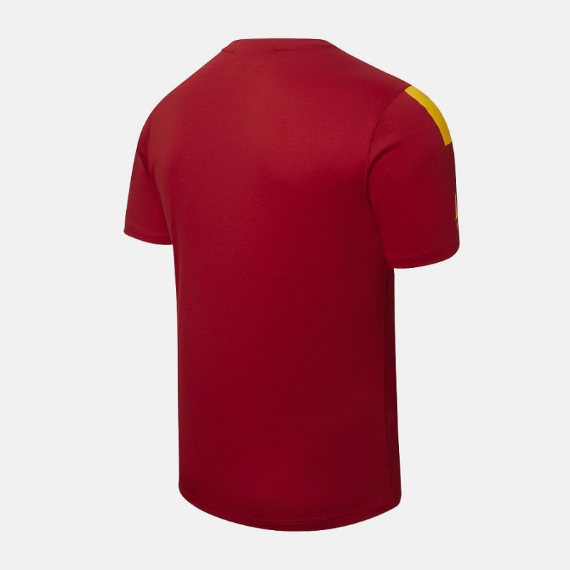 Tops New Balance AS Roma Pre-Game Jersey Hombre Blancas | EC 1473ZG